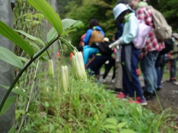 b12513c3dc15a508a1118b2181438e4e