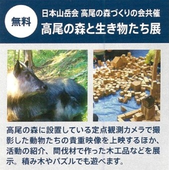 202603 599 leaflet thumbnail